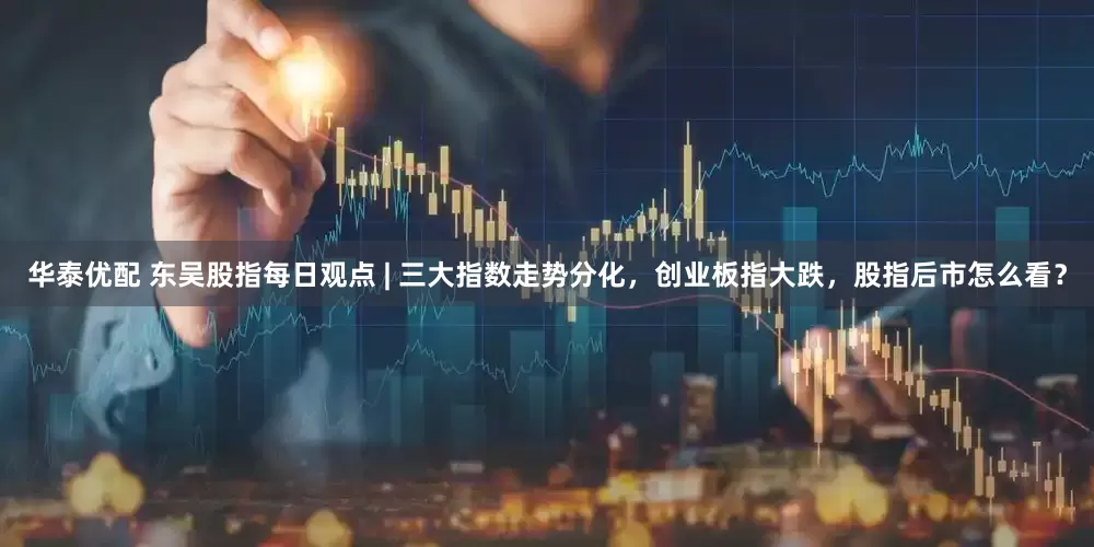 华泰优配 东吴股指每日观点 | 三大指数走势分化，创业板指大跌，股指后市怎么看？