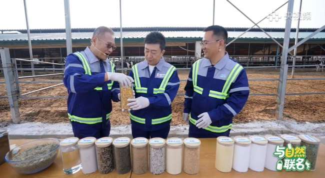 总台主持人陈伟鸿走进君乐宝 全链解密一杯好奶的“黄金公式”
