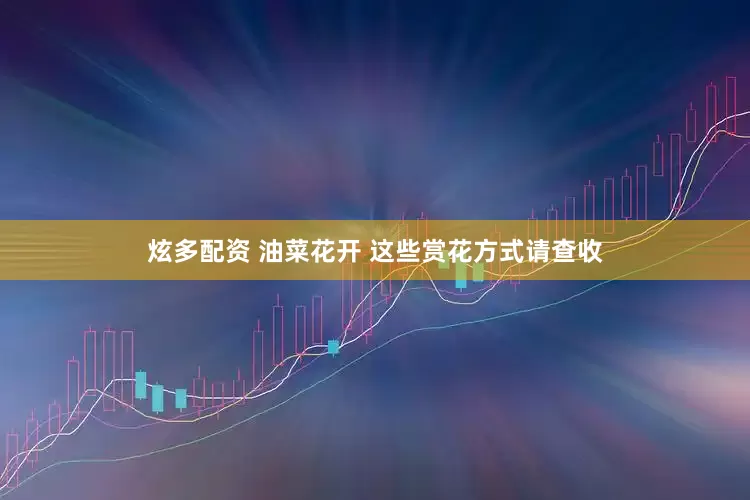 炫多配资 油菜花开 这些赏花方式请查收