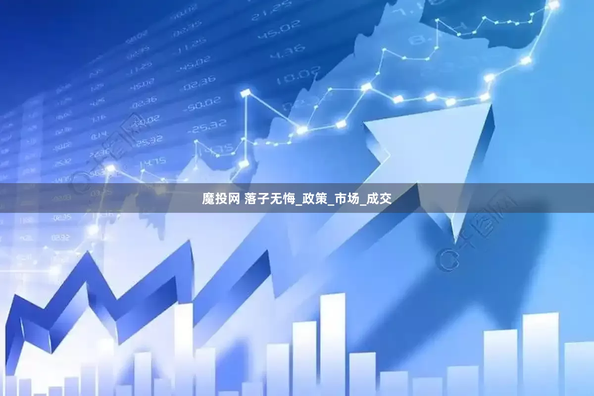 魔投网 落子无悔_政策_市场_成交