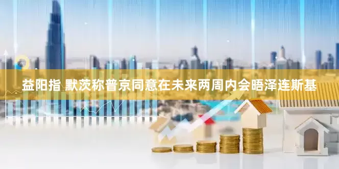 益阳指 默茨称普京同意在未来两周内会晤泽连斯基
